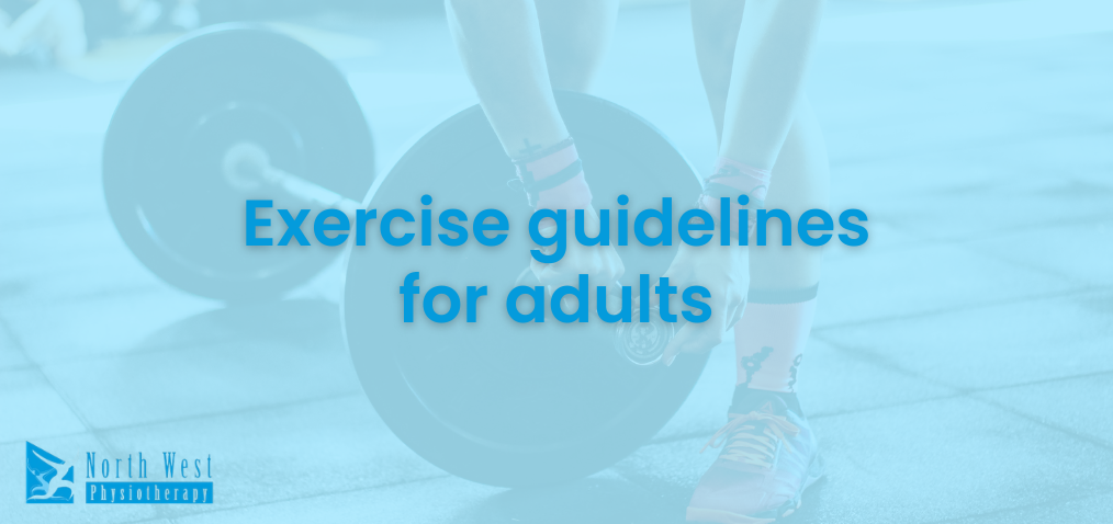 Exercise guidelines for adults: your evidence-based fitness blueprint